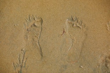 Fransa, Normandiya 'da sular çekildiğinde ıslak kum ve ayak izleri.