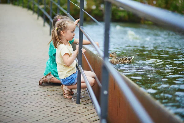 Niñas Edad Preescolar Tratando Tocar Patos Peces Agua Zoológico Parque — Foto de Stock