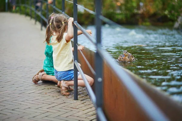 Preschooler Girls Trying Touch Ducks Fish Water Zoo Safari Park — Stock Photo, Image