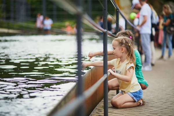 Förskoleflickor Som Försöker Röra Ankor Eller Fiskar Vattnet Djurparken Eller — Stockfoto