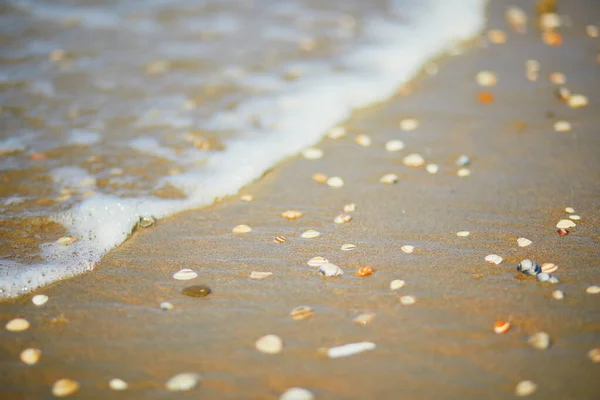 Pantai Pasir Noordwijk Belanda — Stok Foto