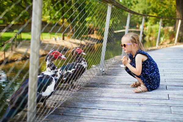 Imádnivaló Kislány Aki Kacsákkal Játszik Farmon Vagy Állatkertben Gyerek Megismerkedik — Stock Fotó