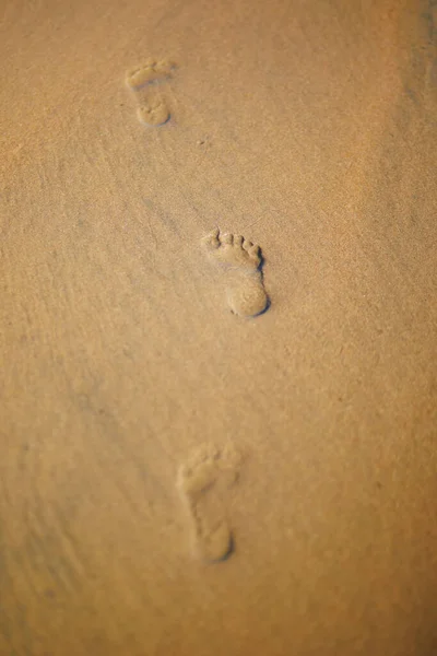 Child Footprints Sand Sand Beach — Stock Photo, Image