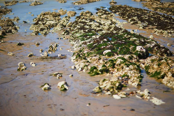 法国诺曼底滨海圣玛格丽特低潮时的沙滩 沙滩上布满了沙子和石头 — 图库照片