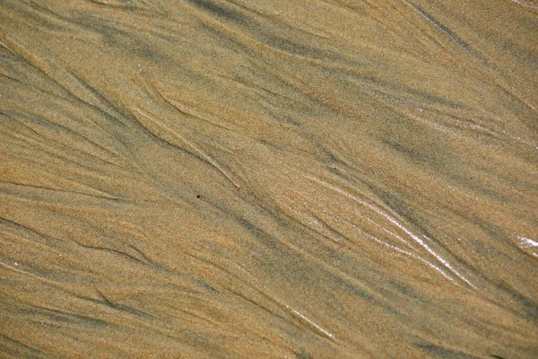 Sabbia Umida Durante Bassa Marea Normandia Francia — Foto Stock