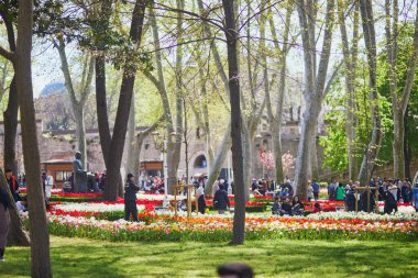 İSTANBUL, TURKEY - 24 Nisan 2023: İstanbul Eminonu ilçesinin tarihi kent parkı Gülhane Parkı 'nda yürüyen insanlar