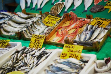 İstanbul 'un Asya yakasındaki Uskudar ilçesinde bir balık pazarında günün taze avı