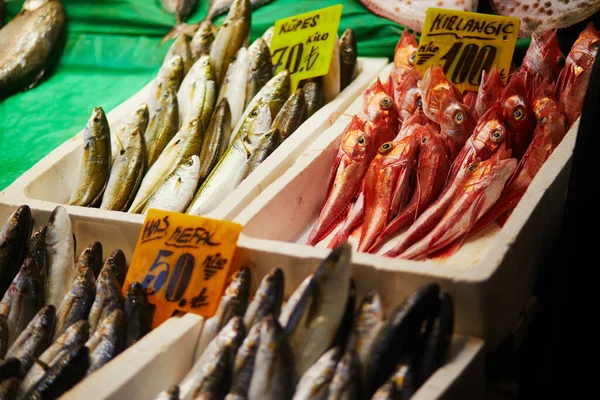 Nylig Fangst Dagen Salg Fiskemarked Uskudar Distriktet Asiatisk Side Istanbul – stockfoto