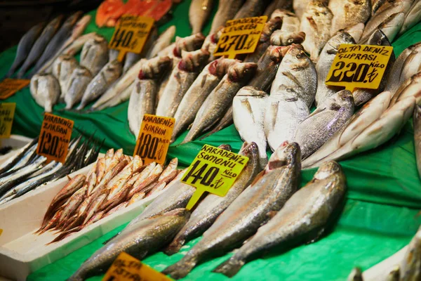 Captura Fresca Dia Para Venda Num Mercado Peixe Distrito Uskudar — Fotografia de Stock
