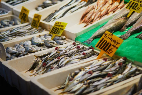 在土耳其伊斯坦布尔亚洲一侧Uskudar区的一个鱼类市场上出售的一天的新鲜渔获物 — 图库照片