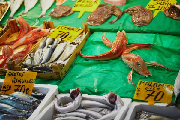 在土耳其伊斯坦布尔亚洲一侧Uskudar区的一个鱼类市场上出售的一天的新鲜渔获物 — 图库照片