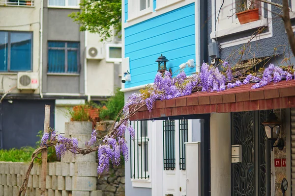 Wisteria Púrpura Floreciendo Distrito Uskudar Lado Asiático Estambul Turquía — Foto de Stock