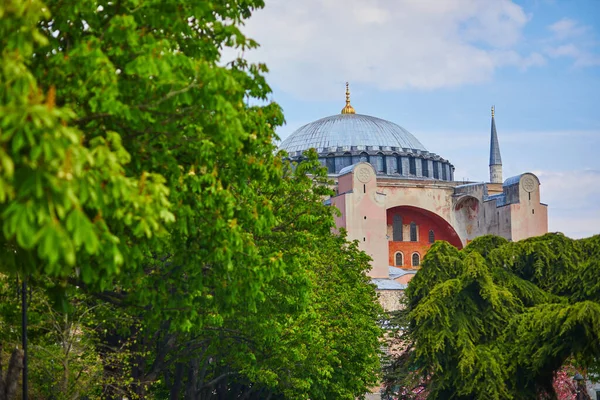 Scénický Pohled Mešitu Hagia Sophia Grand Istanbulu Turecko — Stock fotografie