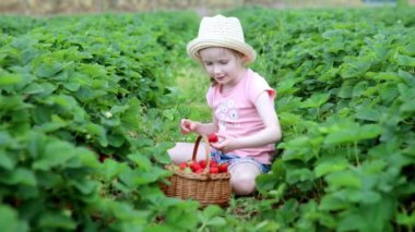 Adorable preschooler girl picking fresh organic strawberries on farm. Delicious healthy snack for small children. Outdoor summer activities for little kids