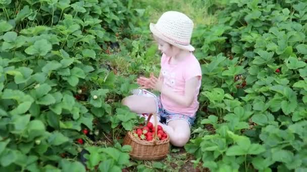 Anaokulu Kızı Çiftlikten Taze Organik Çilek Topluyor Küçük Çocuklar Için — Stok video
