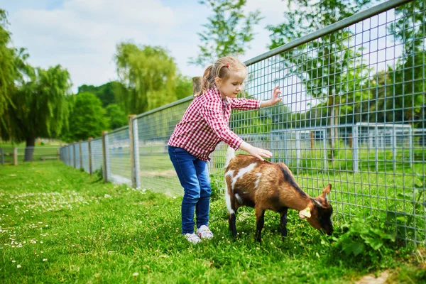 Adorable Little Girl Playing Goats Farm Child Familiarizing Herself Animals — Stock Photo, Image