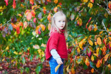 Sevimli anaokulu kızı dışarıda sonbahar gününün tadını çıkarıyor. Mutlu çocuk Paris, Fransa 'da sonbahar yaprakları topluyor. Çocuklar için açık hava sonbahar aktiviteleri