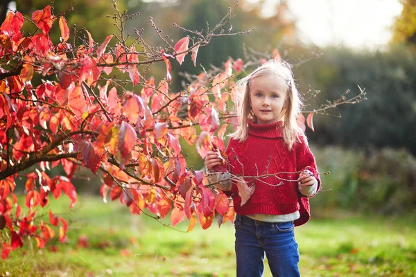 Urocza Przedszkolanka Ciesząca Się Jesiennym Dniem Świeżym Powietrzu Szczęśliwe Dziecko — Zdjęcie stockowe