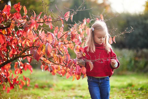 Urocza Przedszkolanka Ciesząca Się Jesiennym Dniem Świeżym Powietrzu Szczęśliwe Dziecko — Zdjęcie stockowe