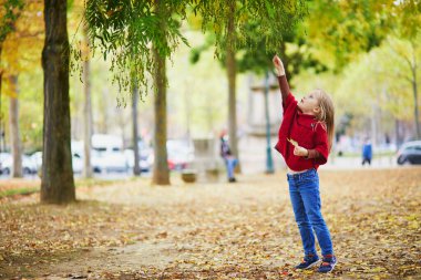 Sevimli anaokulu kızı dışarıda güneşli ve güzel bir sonbahar gününün tadını çıkarıyor. Mutlu çocuk Paris, Fransa 'da sonbahar yaprakları topluyor. Çocuklar için açık hava sonbahar aktiviteleri