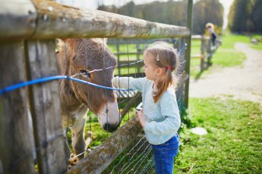 Çiftlikte eşekle oynayan sevimli küçük kız. Çocuk kendini hayvanlara tanıtıyor. Küçük çocuklar için tarım ve bahçe işleri. Çocuklar için açık hava aktiviteleri