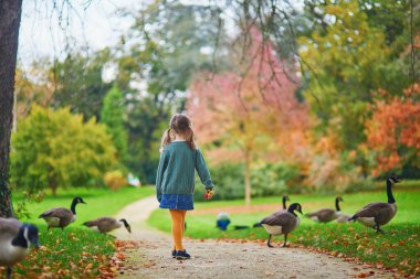 Sevimli anaokulu kızı bir sonbahar günü Fransa 'da Park Bagatelle' de Kanada kazlarına bakıyor.