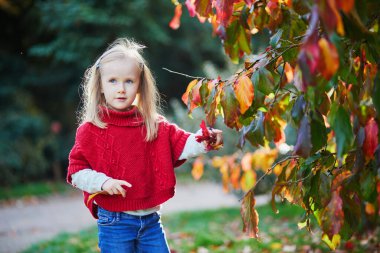 Sevimli anaokulu kızı dışarıda sonbahar gününün tadını çıkarıyor. Mutlu çocuk Paris, Fransa 'da sonbahar yaprakları topluyor. Çocuklar için açık hava sonbahar aktiviteleri