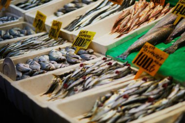 İstanbul 'un Asya yakasındaki Uskudar ilçesinde bir balık pazarında günün taze avı