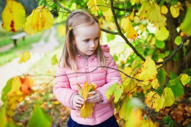 Sevimli anaokulu kızı dışarıda güneşli ve güzel bir sonbahar gününün tadını çıkarıyor. Mutlu çocuk Paris, Fransa 'da sonbahar yaprakları topluyor. Çocuklar için açık hava sonbahar aktiviteleri