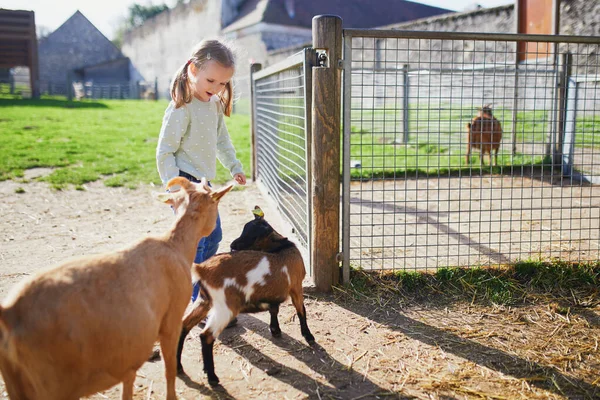可爱的小女孩在农场里和山羊玩耍 孩子们熟悉动物 为幼儿耕作和园艺 儿童户外活动 — 图库照片