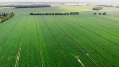 Fransa 'daki otlakların ve tarım alanlarının havadan görünüşü. Yeşil tarlaları ve çayırları olan güzel bir Fransız kırsalı. Fransa, Paris yakınlarındaki kırsal alan