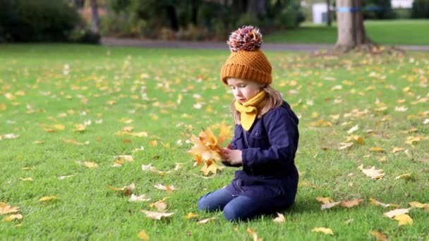 可爱的学龄前女孩在户外享受着美好而阳光灿烂的秋日 快乐的孩子在法国的巴黎收集秋天的叶子 儿童室内秋季活动 — 图库视频影像