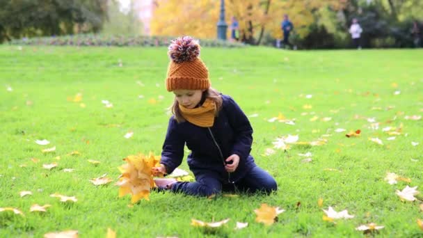 屋外で素敵な晴れた秋の日を楽しむ愛らしい未就学児の女の子 フランスのパリで秋の葉を集める幸せな子供 子供のための屋外秋の活動 — ストック動画