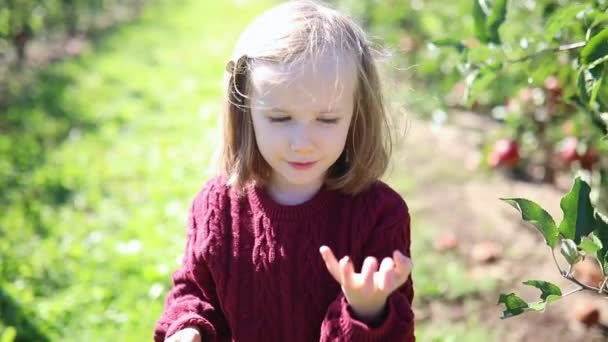 親愛なる幼稚園の少女は 彼女の指を這い回って 昆虫が飛び去るにつれてさよならを振っている 自然を探検する子供たち 子供のための屋外活動 — ストック動画