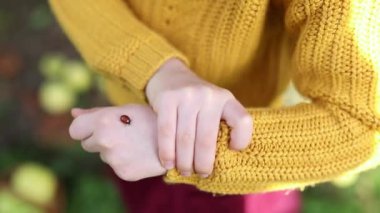 Anaokulu kızı, uğur böceğine bakıyor. Elleri ve parmakları üzerinde sürünüyor. Doğayı keşfeden çocuk. Çocuklar için açık hava aktiviteleri