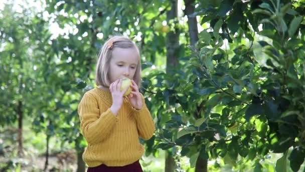 秋天的一天 可爱的学龄前女孩在果园或农场采摘和吃成熟的红色有机苹果 为儿童举办的户外秋季活动 — 图库视频影像