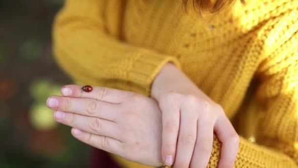 幼稚な女の子が手と指を這い回っているのを見つめている 自然を探検する子供 子供のための屋外活動 — ストック動画
