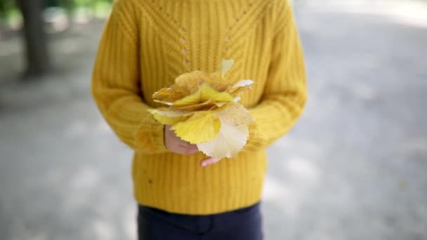 Menina Pré Escolar Suéter Amarelo Segurando Monte Folhas Outono Coloridas — Vídeo de Stock