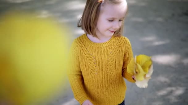 Przedszkolanka Żółtym Swetrze Bandą Kolorowych Jesiennych Liści Parku Jesienią Zewnętrzne — Wideo stockowe