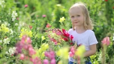 Sevimli anaokulu kızı çiftlikten güzel antirrhinum çiçekleri topluyor. Küçük çocuklar için açık hava yaz aktiviteleri