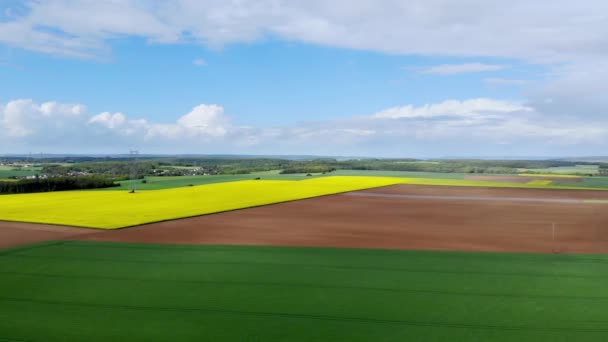 Scénický Letecký Pohled Žlutá Pole Řepky Ile France Francie — Stock video