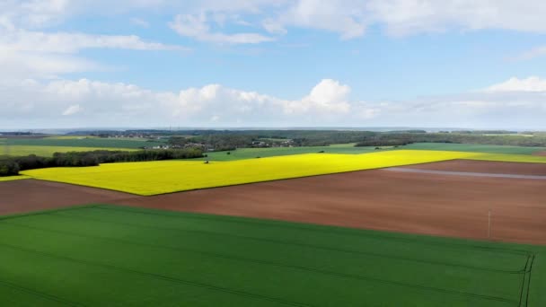 Widok Lotu Ptaka Żółte Pola Rzepaku Ile France Francja — Wideo stockowe