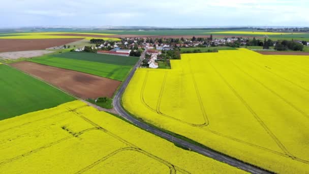 Γραφική Εναέρια Άποψη Των Κίτρινων Αγρών Ελαιοκράμβης Στην Ile France — Αρχείο Βίντεο
