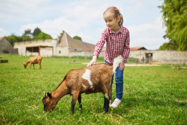 Çiftlikte keçilerle oynayan sevimli küçük kız. Çocuk kendini hayvanlara tanıtıyor. Küçük çocuklar için tarım ve bahçe işleri. Çocuklar için açık hava yaz aktiviteleri
