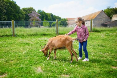 Çiftlikte keçilerle oynayan sevimli küçük kız. Çocuk kendini hayvanlara tanıtıyor. Küçük çocuklar için tarım ve bahçe işleri. Çocuklar için açık hava yaz aktiviteleri