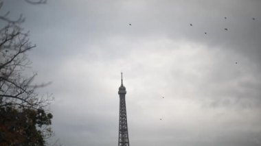Yağmurlu bir sonbahar gününde Paris, Fransa 'daki Eyfel kulesinin etrafında kuşlar uçuşuyor.