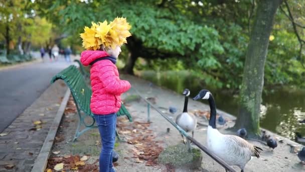 노란색 단풍나무에 귀여운 유치원 소녀는 프랑스의 Montsouris 공원에서 게이를 Wreath — 비디오