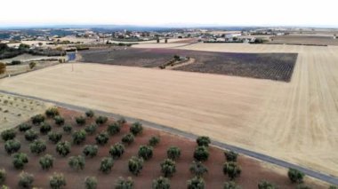 Provence, Güney Fransa 'da lavanta tarlaları bulunan hava manzaralı Akdeniz manzarası