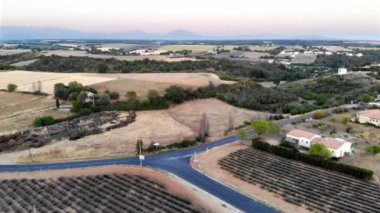 Aerial scenic Mediterranean landscape with lavender fields in Provence, Southern France
