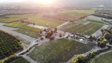 Provence, Güney Fransa 'da selvi ağaçları, zeytin ağaçları ve üzüm bağlarıyla hava manzaralı Akdeniz manzarası